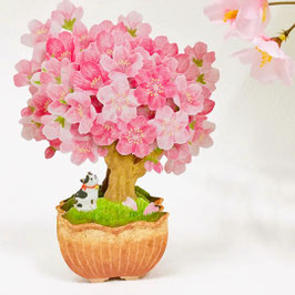 ☆3D greeting card "sakura bonsai cat"