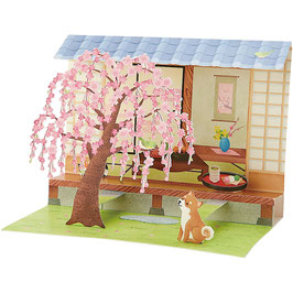 ☆3D Karte "shidare-Kirschbaum, Shiba-inu im Garten"