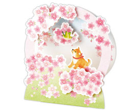 ☆3D Karte "sakura, white-eye and Shiba-Inu"