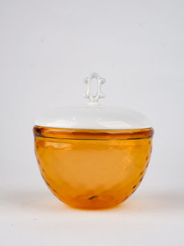 Dose in Apricot