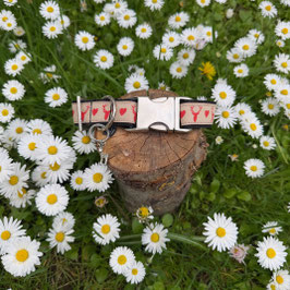Hundehalsband "Hirschkopf beige"