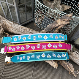 Hundehalsband "Gänseblümchen"