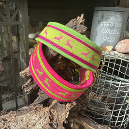 Hundehalsband "Hirsch grün oder pink" mit Softshell + goldenen Verschluß