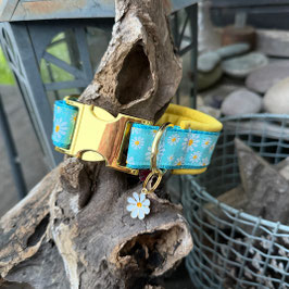 Hundehalsband "Gänseblümchen Ribbon hellblau"
