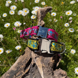 Hundehalsband "Zebra-Pfote" NEU