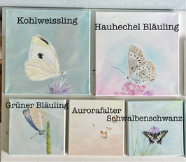 Schmetterlings-Bilder