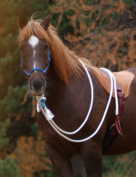 Natürliche Hackamore