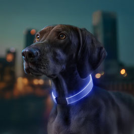 WAUDOG LED light up dog collar, RGB, Type-C