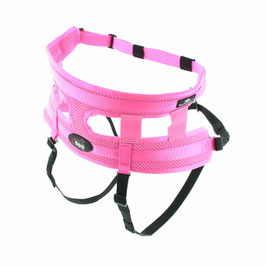 HOT DEAL !! I-DOG Canicross Hüftgurt RAIDLIGHT