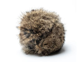 Rabbit "Cover" für Tennisball