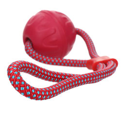 Dog Comets Vortex Ball mit reflextierendem Seil