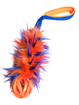 Dragon Tail - Chuck it Breath right Ball