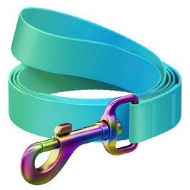 WAUDOG Nylon Recycled dog leash, gradient