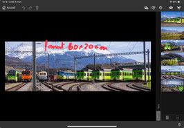 Alignement complet (Format 60x20cm)
