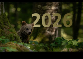 Kalender 2026 - ausverkauft