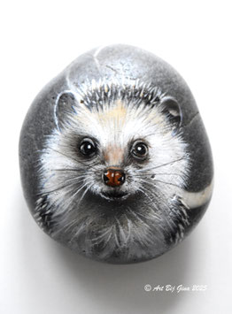 Spike....Schattig egeltje geschilderd op een mooie steen