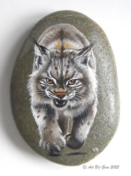 Niet voor de poes.... Stoere Lynx geschilderd op riviersteen