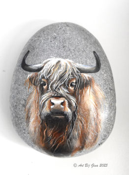 Mooie Schotse Hooglander geschilderd op steen