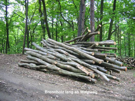 Laubbrennholz ab Waldweg zum Selberschneiden und -transporieren