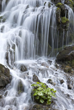 Wasserfall