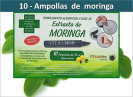. AMPOLLAS DE MORINGA (10 Ampollas)