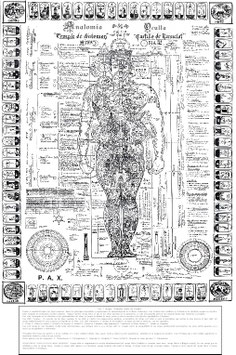 ANATOMIA OCULTA