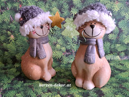 Winter-Katzen