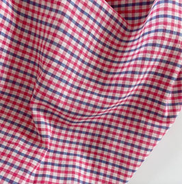Indian Cotton Check Red and Blue
