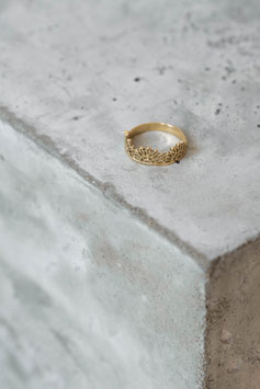 Ring REVA