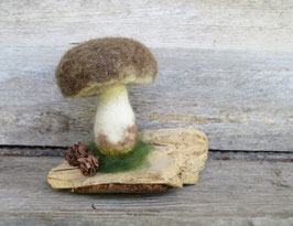 Pilze