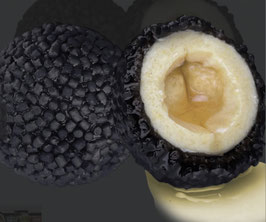 Nutrigo Pellets Black Halibut, 200ml, 20mm