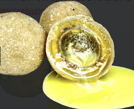 Nutrigo Extra Cheese 200 ml, 20mm