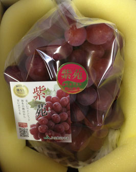 贈答用「紫苑」800ｇ以上。化粧箱入り。