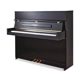 Petrof Klavier P 118 S1