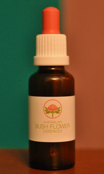 Buschblütenessenz Herz Chakra, 30ml