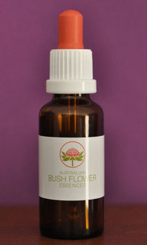 Buschblütenessenz Kronen Chakra, 30ml