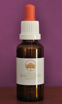Spirituelle Essenzen, Fertigmischungen, 30ML