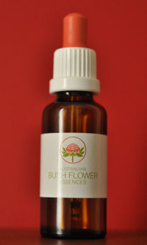 Buschblütenessenz Wurzel Chakra, 30ml