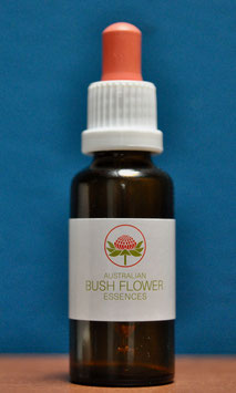 Light Frequency Essenzen, Fertigmischungen, 30ML