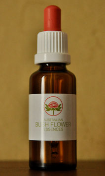 Buschblüten Essenz 8. und 9. Chakra, 30ml