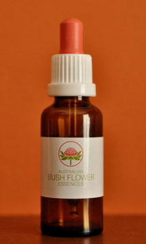 Büschblütenessenz Sakral Chakra, 30ml