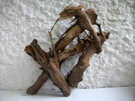 E3, "Verwurzelung", 50x32cm