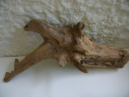 G8, "Wonga" 50x20x37cm