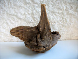 E17 "Dornspitz"  30x15x23cm