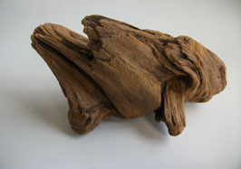 E20, "Endolos" 18x9x10cm