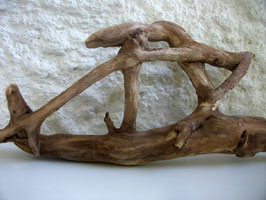 E11, "Apertura", 35x13cm