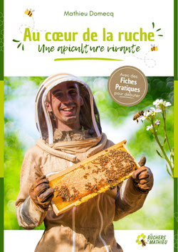 Au cœur de la ruche