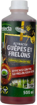 Appât frelon Protecta 500ml