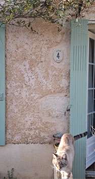 Numéro de maison Myosotis