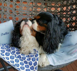 Organic Anchor Bedding Set